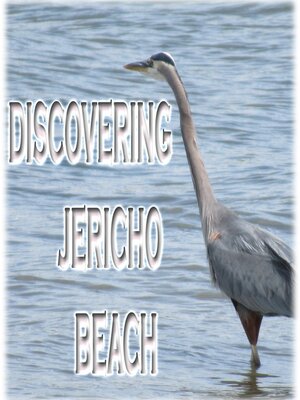 cover image of Discovering Jericho Beach